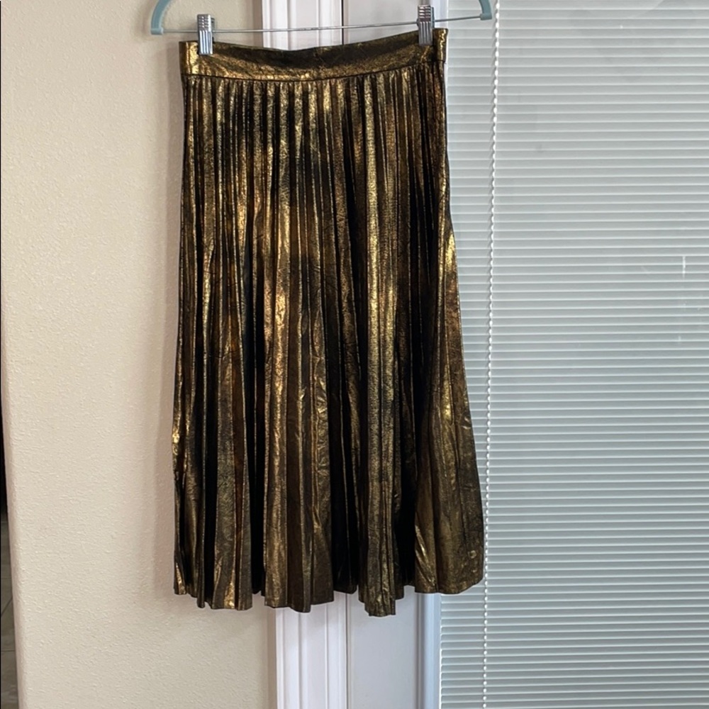 Long pleated zara skirt